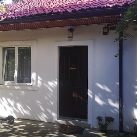 Casa Miron Unirii 3Strada Matei Corvin Apartament 蒂米什瓦拉 外观 照片
