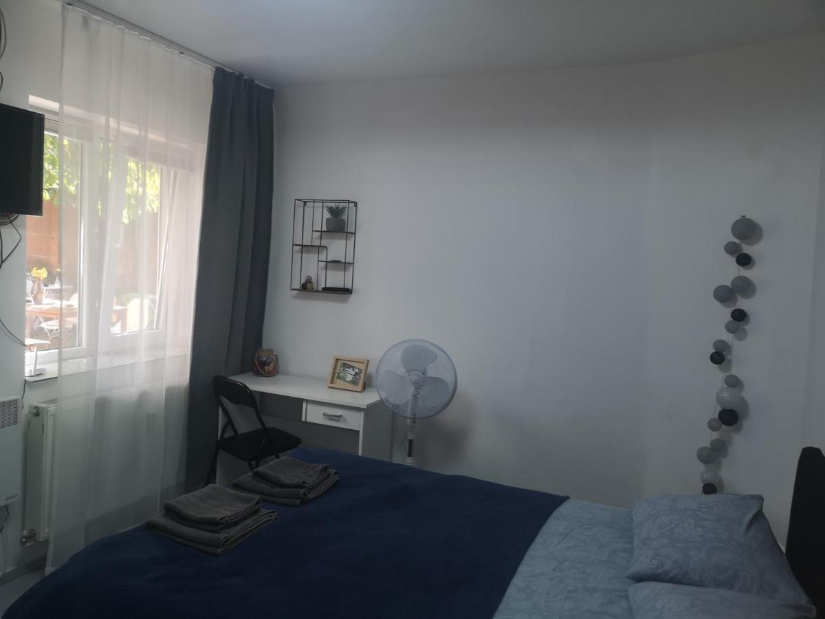 Casa Miron Unirii 3Strada Matei Corvin Apartament 蒂米什瓦拉 外观 照片