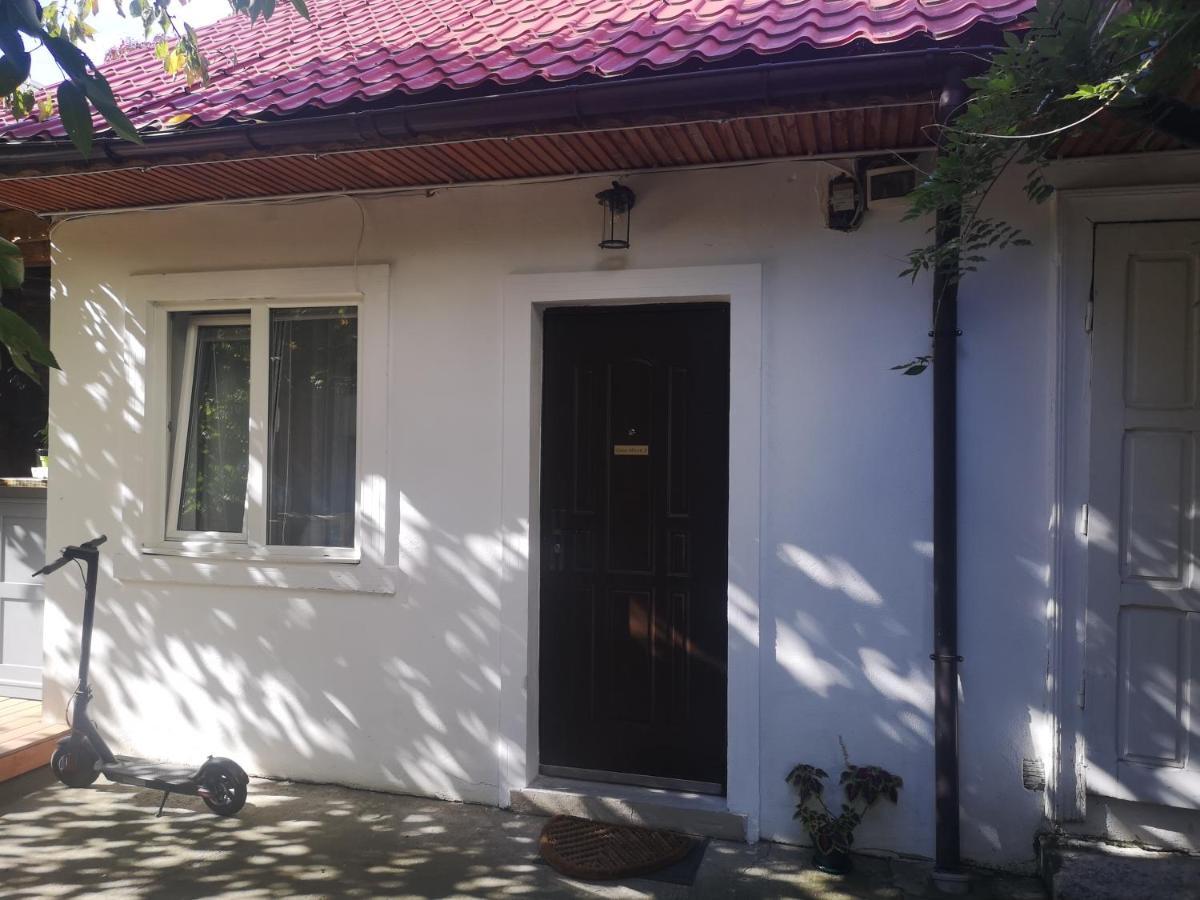 Casa Miron Unirii 3Strada Matei Corvin Apartament 蒂米什瓦拉 外观 照片